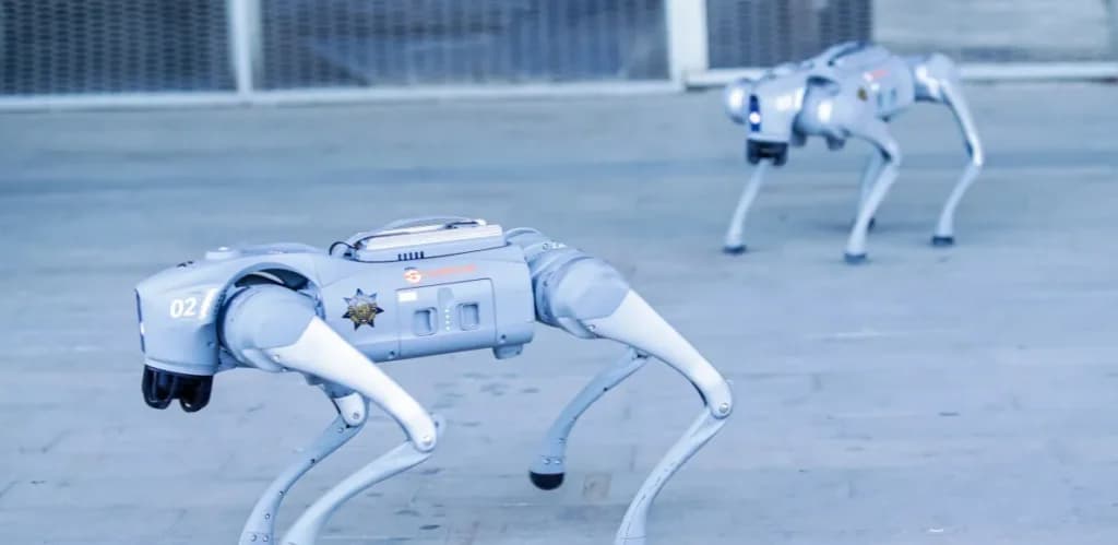 AI ခေတ်ရဲ့ လုံခြုံရေးဝန်ထမ်းအသစ် – Data center ကြီးတွေကို စောင့်ကြပ်မယ့် စက်ရုပ်ခွေးတွေ